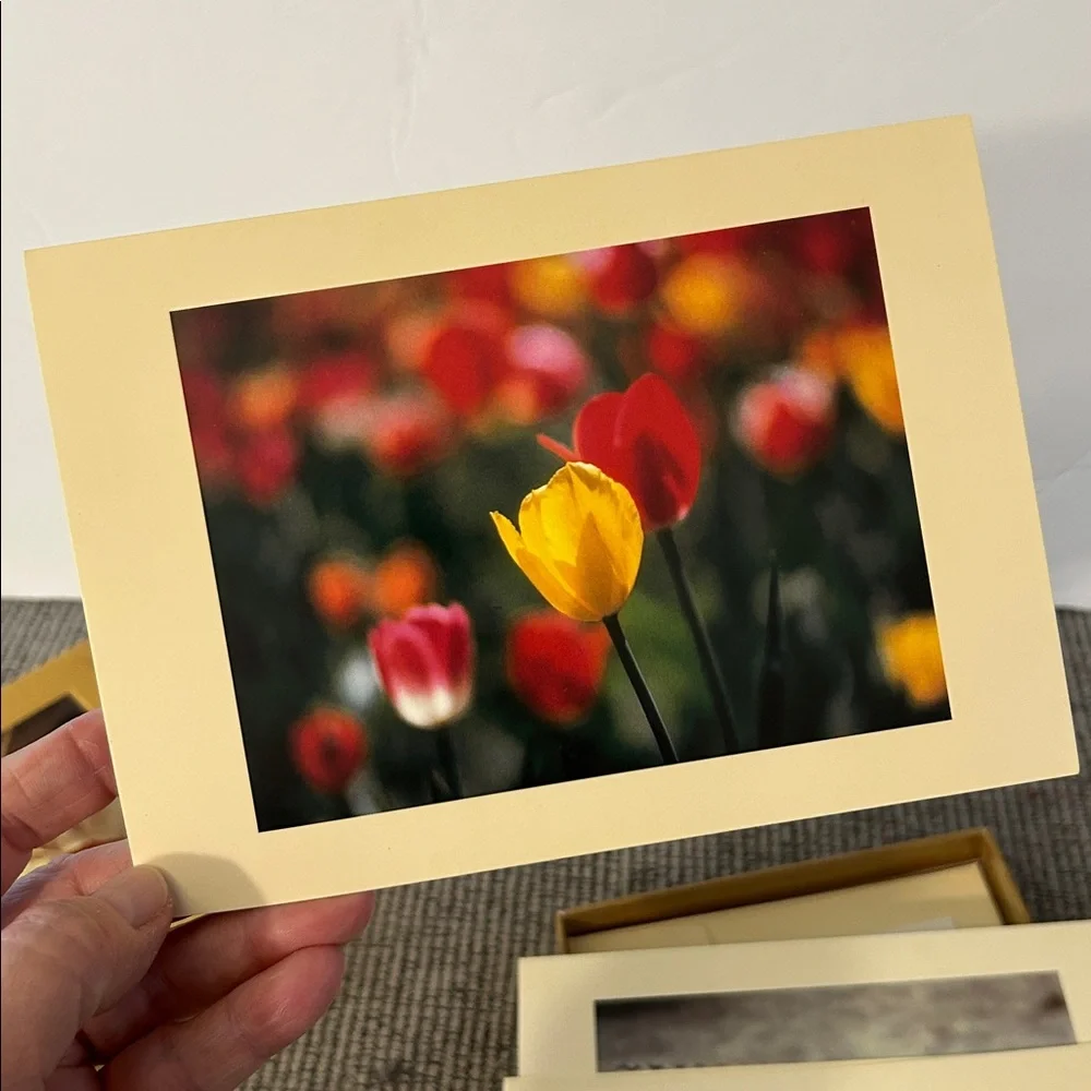 A Turning Point note cards NEW Photography in a box 12 cards